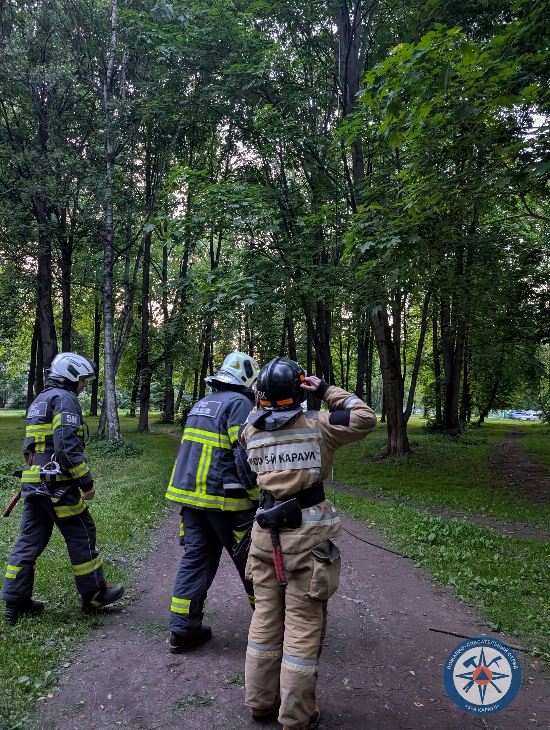 Смена 11.06.26, четверг, ночь, 3-й карау